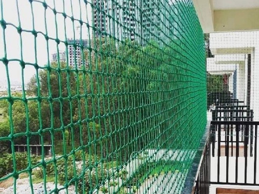 Pigeon Net